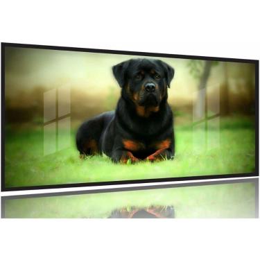 Imagem de Quadros Decorativos Cachorro Rottweile 130x60 Moldura Preta 2x2