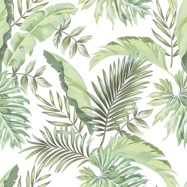 Imagem de BaoHArtHome Papel de parede botânico autoadesivo verde-palmeira tropical descasque e cole papel de contato removível à prova d'água para banheiro, sala de estar, papel de parede grosso amigável para