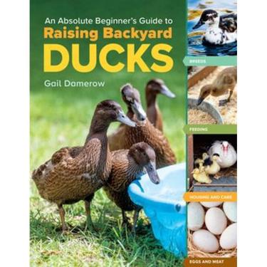 Imagem de An Absolute Beginner s Guide to Raising Backyard Ducks