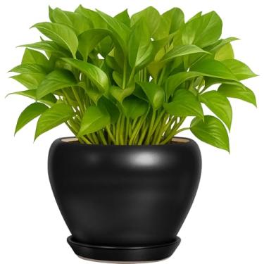 Imagem de Vaso de plantas de 15 cm - Vaso de cerâmica com orifício de drenagem e bandejas, vaso de flores redondo moderno, vasos para plantas internas e externas, decoração de jardim doméstico, preto