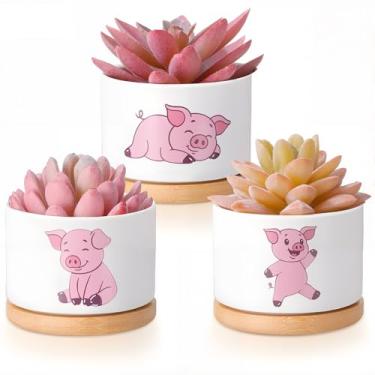 Imagem de Vesici 3 vasos de suculentas de porco com drenagem e bandeja de bambu, pequenos vasos de suculentas de cerâmica para mini plantas, cacto, animal, vaso para escritório, decoração de casa, mulheres