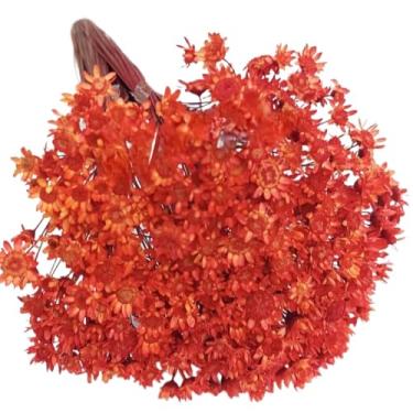 Imagem de Buquê de 300 Florzinhas, Sempre Viva e Mosquitinhos, Decorativo para Casa e Festas(Laranja)