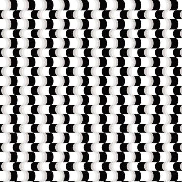 Imagem de Papel De Parede Abstrato Preto E Branco Autocolante Sala