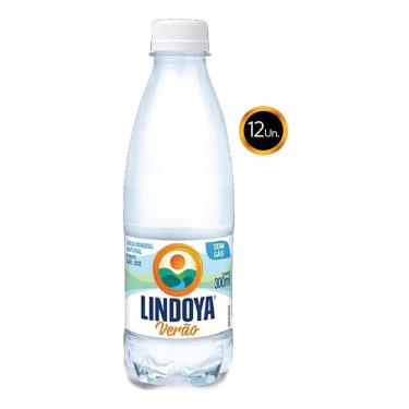 Imagem de Água Mineral Lindoya 300Ml Kit 12