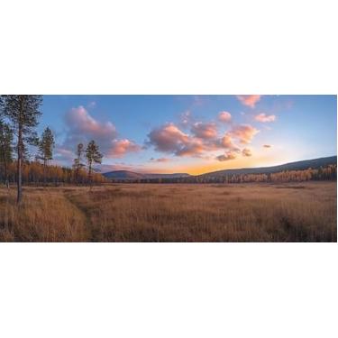 Imagem de Quadro Decorativo com Estampaserenesunset Over Golden Meadow Distant 50 x 50 Papel 1 unidade