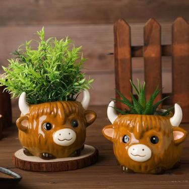 Imagem de Meanplan Vaso de cerâmica de cacto de vaca Highland com 2 peças, vaso de flores de animal fofo, presente para amantes de vacas, plantas, recipiente para decoração de mesa