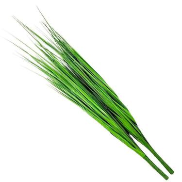 Imagem de Kit 6 Folhagens Capim Verde Artificial 78cm
