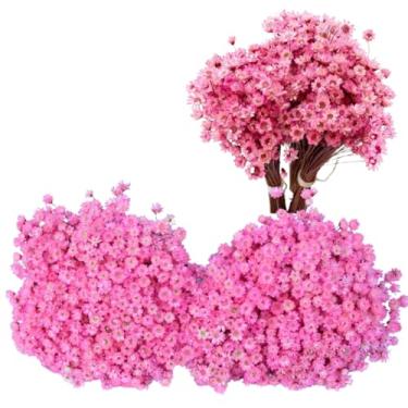 Imagem de Flor Desidratada Sempre Viva C/02 Maços Rosa Decoração Festa Decoração de Casamento