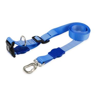 Imagem de Mood Pet Coleira Guia Mãos Livres Para Cães Cachorro Adestramento Passeio Porte Grande Médio Pequeno (Jetty, PP)