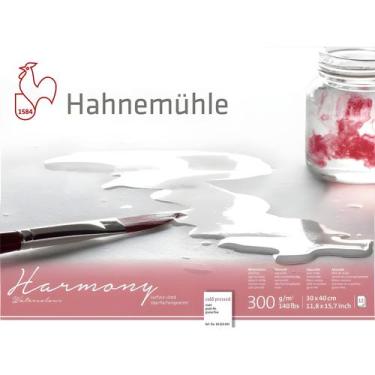Imagem de Bloco Aquarela Hahnemühle Harmony 300gr 30x40cm Textura Fina 12 Folhas