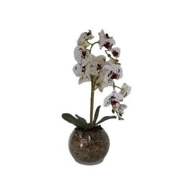 Imagem de Orquídea Pintada x2 Vaso Aquário - Biofil