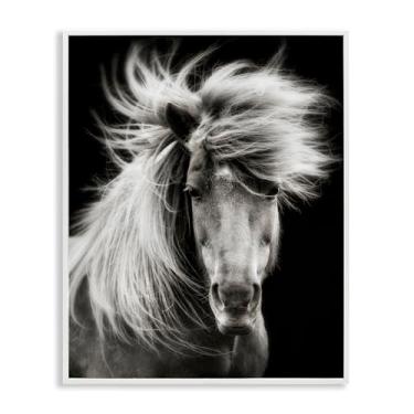 Imagem de Stupell Industries Cavalo de crina soprado pelo vento em preto e branco emoldurado por PHBurchett, 40 x 50 cm