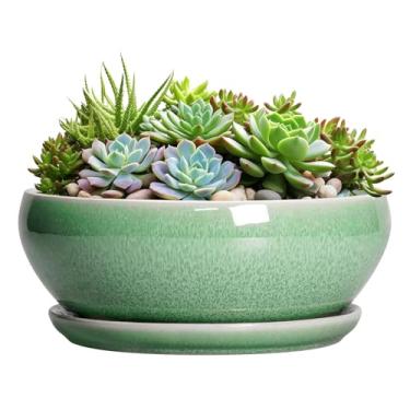 Imagem de SQOWL Vaso de suculentas de 30,5 cm - vasos de bonsai de cerâmica com orifício de drenagem e pires, vaso grande e raso, vaso redondo para flores de plantas internas e externas, decoração de quarto