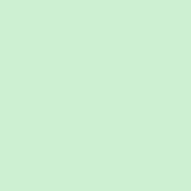 Imagem de Papel Color Plus - Verde Bebê - Tahiti (10UN)