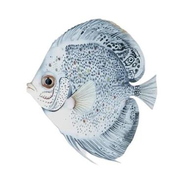 Imagem de Pôster De Arte Em Aquarela De Peixe Discus Azul, Impressão Em Tela De 