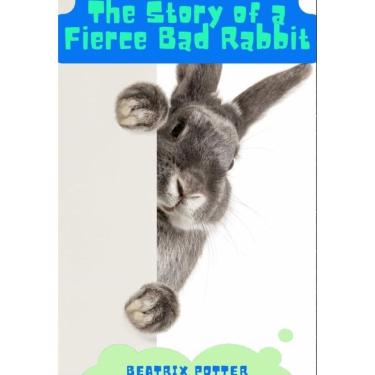 Imagem de The Story of A Fierce Bad Rabbit - Inglês