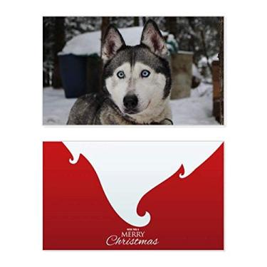 Imagem de Dog Animal Snow Husky Fotografia Feriado Feliz Natal Cartão de parabéns Mensagem de Natal