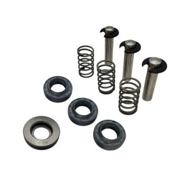 Imagem de Kit 3un Retentor Pistão Mola Rolamento Compatível com Tekna HL2100 HL3