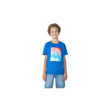Imagem de Camiseta Infantil Menino Manga Curta Com Estampa Hering Kids