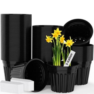 Imagem de BeapTcely 50 peças, vaso de berçário de plantas de 5 galões com etiquetas de plantas, vasos de plástico para sementes com orifício de drenagem para transplante de mudas (50, 5 galões)