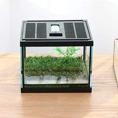 Imagem de Craceletes Pac Frogs Kit de alimentação de terrário de vidro, à prova d'água, para pequenos anfíbios, insetos, sapos de chifre. Habitat estilo água/pradaria, com pastilha de grama artificial verde, (excluindo animais)