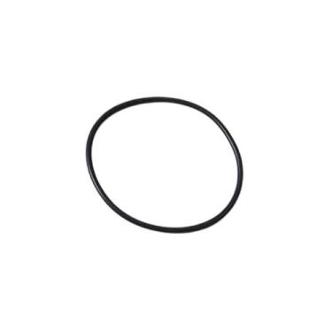 Imagem de Oring de Vedação da Bomba de Vacuo Renault Trafic - 7703065067