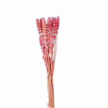 Imagem de Rubi Rosa Desidratado - Pense Flores