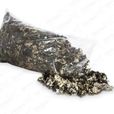 Imagem de Musgo Preto Pc 4 Lts Para Orquideas e Decoração - Pense Flores