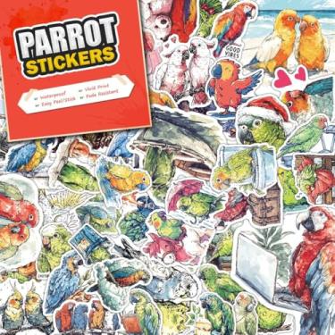 Imagem de Pacote de 100 adesivos de papagaio – Decalques de vinil à prova d'água para garrafas de água, laptops, telefones, notebooks, carros – gráficos vibrantes e legais para entusiastas de papagaios