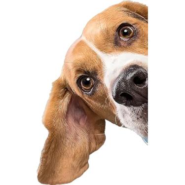 Imagem de 2 adesivos de para-choque amarelo lateral Peeping Beagle, decalque de vinil de 15 cm, impermeável, cortado para carros, janelas, laptops