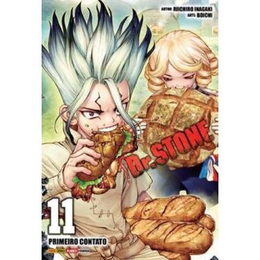 Imagem de Dr. Stone - Vol. 11 - PANINI, Sortido