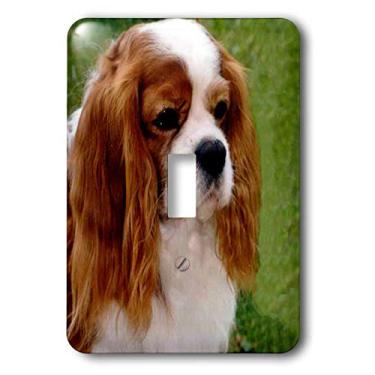 Imagem de 3dRose Interruptor de alternância simples lsp_980_1 Cavalier King Charles Spaniels