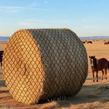 Imagem de Rede de feno para fardos redondos, rede sem nós de nylon preto de 1,5 x 1,5 m com furos de 4 cm, redes de feno de alimentação lenta para cavalos e cabras - Solução de alimentação mais saudável