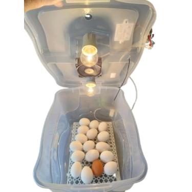 Imagem de Chocadeira Com Controle De Temperatura Automático Capacidade 30 Ovos De Galinha Ou 90 De Codorna