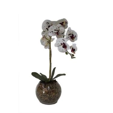 Imagem de Orquídea Pintada x1 Vaso Aquário - Biofil