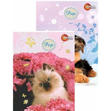 Imagem de 1 Caderno Pup 96 Folhas Brochura Universitário Capa Sortida, Máxima Cadernos 4516-107012