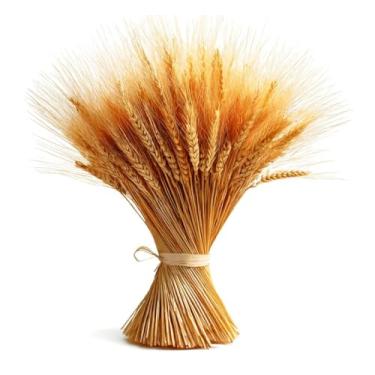 Imagem de 200 Hastes Trigo Seco Para Decoração Elegante Convites Casamento Arranjos Artesanato Maços Natal(50 HASTES DE TRIGO)