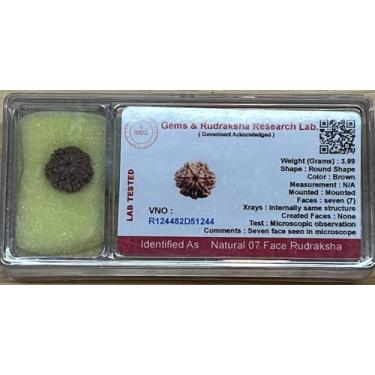 Imagem de Contas Rudraksha Natural da AwakenYourKundalini (1,2,3,4,5,6,7,8,9,10,11,12,13,14 faces) Original Rudraksha Beads Himalayan Origem Nepal Coleções - Certificado de laboratório -, 7 Mukhi Faced, 1