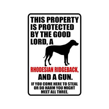 Imagem de Placa de metal vintage Warning This Property Is Protected By The Good Lord A Rhodesian Ridgeback Dog Placa de alumínio para decoração de parede de café em casa 20 x 30 cm