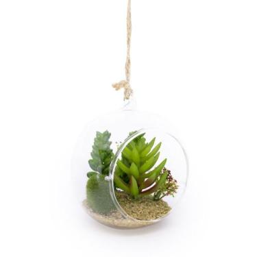 Imagem de Flor Suculenta Com Vaso de Vidro para Pendurar Sala Verde 11 cm F04 - 