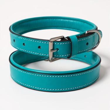 Imagem de Majestic Ally Coleira de couro macio para cães, várias cores, ferragens de aço inoxidável, acolchoada, tamanhos P-GG (turquesa, G)