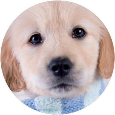 Imagem de Capa De Estepe Ecosport Aircross Dog Lenço