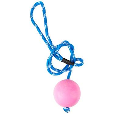 Imagem de Pet Injet Guia Com Bola Maciça Lisa 85Mm Para Cães