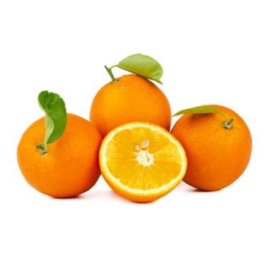 Imagem de Muda Frutífera de Laranja Navelina Enxertada - AgroJardim