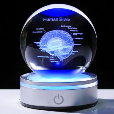Imagem de Enjinkail Presentes de cérebro para neurologista, modelo anatômico de cérebro humano com ética a laser, bola de cristal 3D, presentes de cirurgia cerebral para médicos, presentes de graduação em