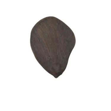 Imagem de Fava do Tempo  Paciência  Equilíbrio  Sabedoria Espiritual - Estrela M