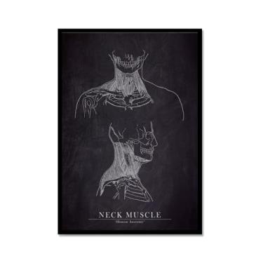 Imagem de Arte de anatomia humana, pintura em tela médica, vintage, esqueleto muscular, educação, pôster, impressão de imagem de parede, decoração de clínica hospitalar (SKU7,8 x 30,5 cm = (20 x 30 cm), moldura