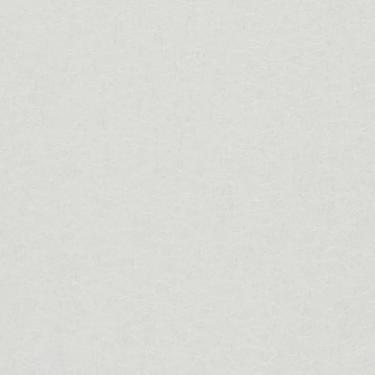 Imagem de Papel De Parede Ivy Textura Off White 6805-20