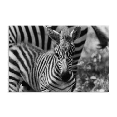 Imagem de SDYJ6GSW Imagens de animais em preto e branco para decoração de parede em preto e branco com estampa artística de filhote de zebra imagem de cavalo pintura de arte de parede zebra para sala de estar