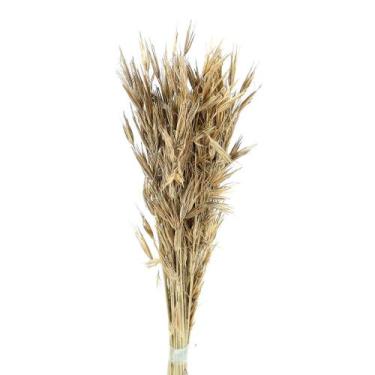 Imagem de Capim Trigão Natural - Pense Flores